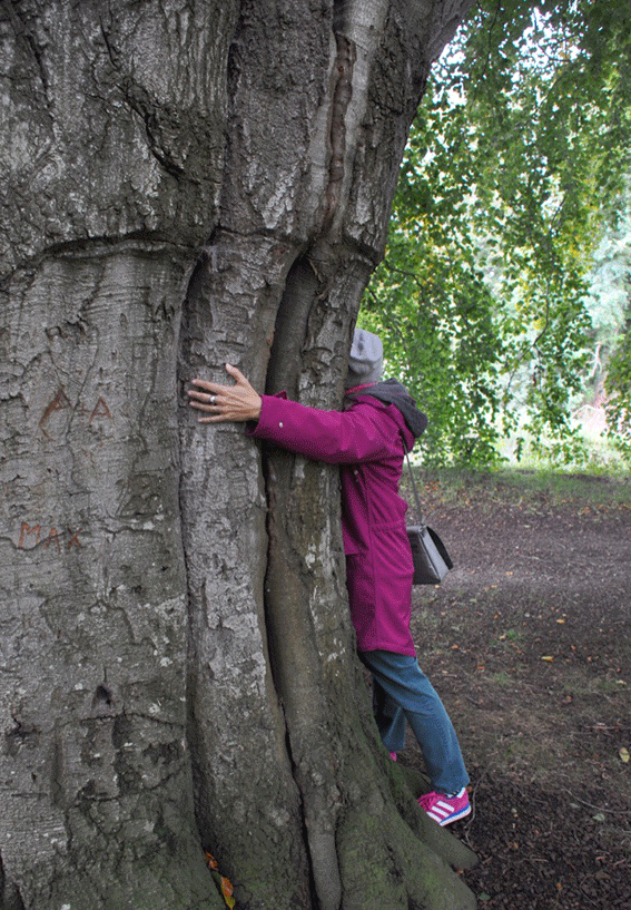 UNADJUSTEDNONRAW_thumb_9eff